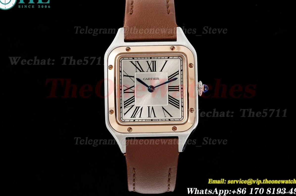 LE Santos Silver Quartz Brown Dial Dumont AF RG 0502